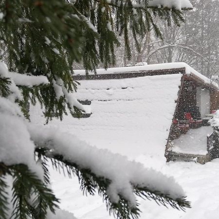 Chałpa na skarpie Villa Meszna Exteriör bild