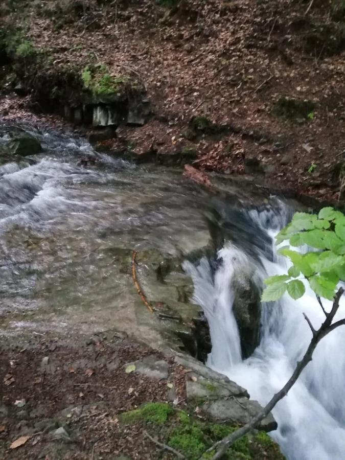 Chałpa na skarpie Villa Meszna Exteriör bild