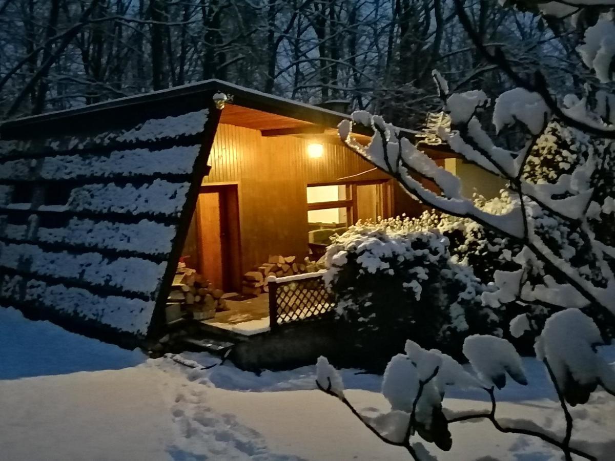 Chałpa na skarpie Villa Meszna Exteriör bild