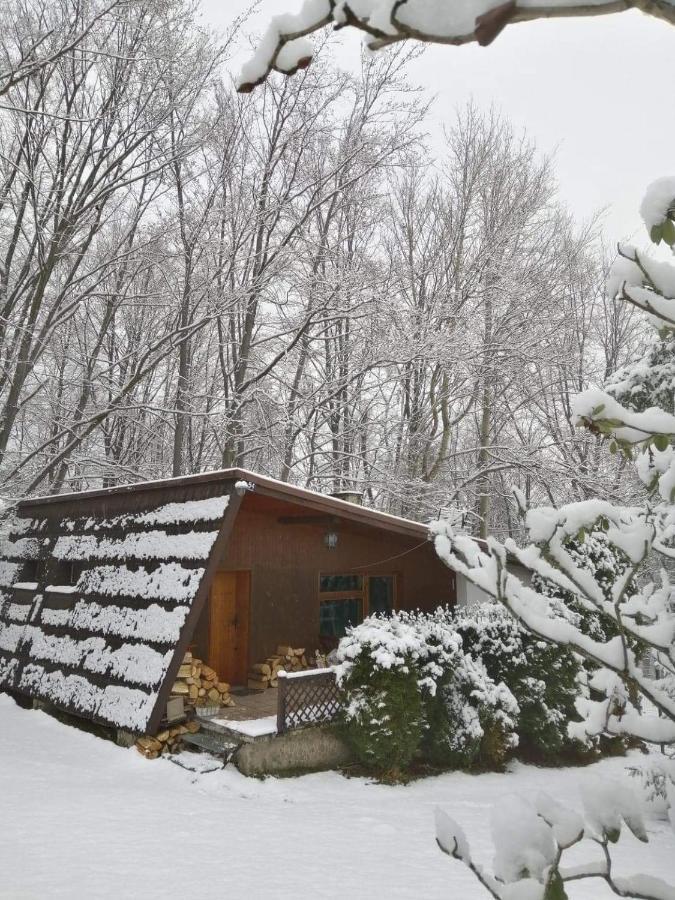 Chałpa na skarpie Villa Meszna Exteriör bild