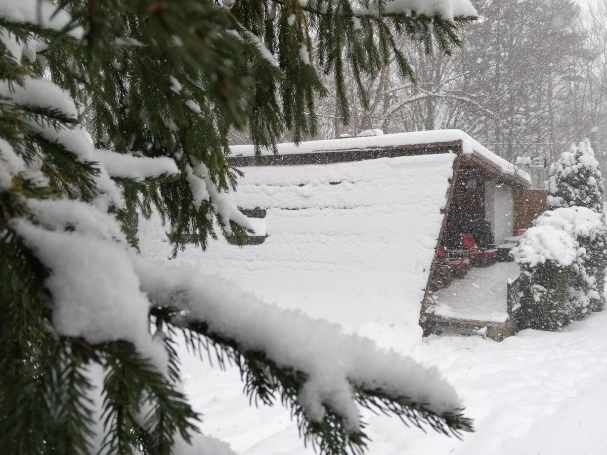 Chałpa na skarpie Villa Meszna Exteriör bild